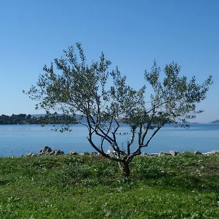 Сasa de vacaciones Robinsonhome Ciovo